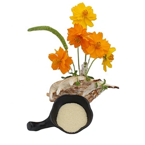 Free sample 1kg halal food grade 250 bloom gelatin powder