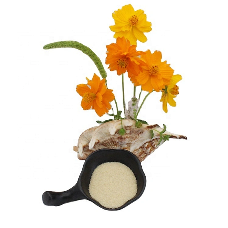 Free sample 1kg halal food grade 250 bloom gelatin powder