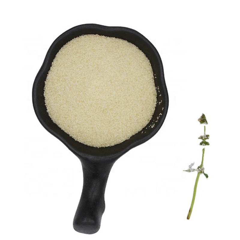 Free sample 1kg halal food grade 250 bloom gelatin powder